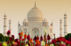 Tour por el Taj Mahal y el Fuerte de Agra