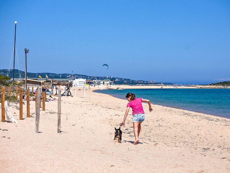 Hoteles de playa que admiten perros en España